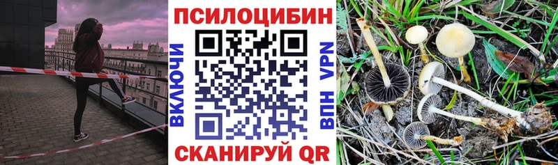 Галлюциногенные грибы Cubensis  Орлов 
