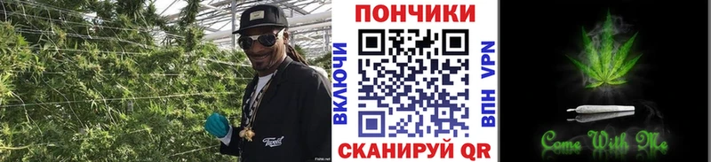 Шишки марихуана AK-47  наркотики  Орлов 